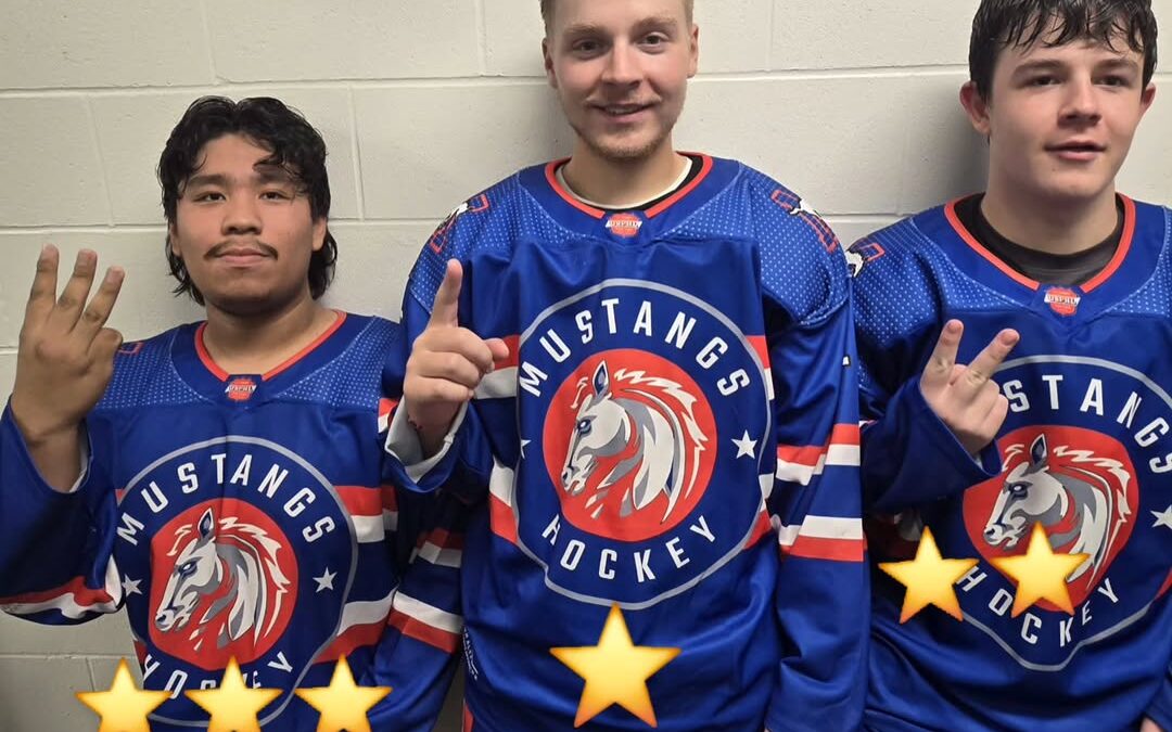 3 Stars of the Game